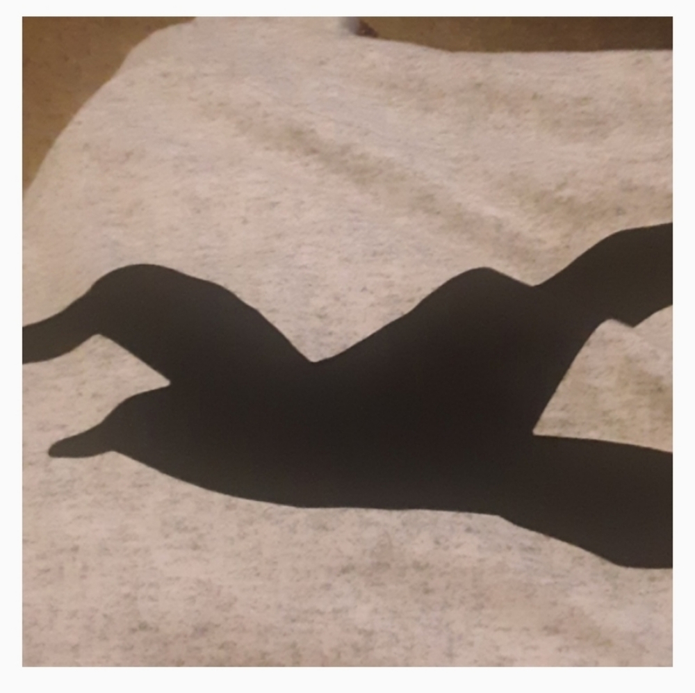 Marled light grey nwot hoody - Picture 1 of 5